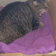 ヒメ日記 2025/10/09 00:01 投稿 あい sweet kiss