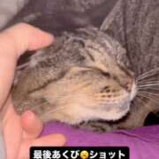 ヒメ日記 2025/10/12 02:49 投稿 あい sweet kiss