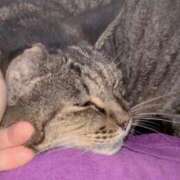 ヒメ日記 2025/10/12 03:19 投稿 あい sweet kiss