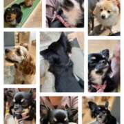 ヒメ日記 2025/10/13 13:30 投稿 あい sweet kiss