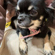 ヒメ日記 2025/10/14 10:20 投稿 あい sweet kiss