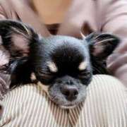 ヒメ日記 2025/10/15 10:47 投稿 あい sweet kiss