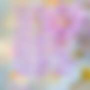 ヒメ日記 2025/10/16 21:26 投稿 あい sweet kiss