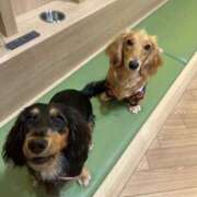 ヒメ日記 2025/10/17 03:14 投稿 あい sweet kiss