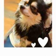 ヒメ日記 2025/10/18 03:28 投稿 あい sweet kiss