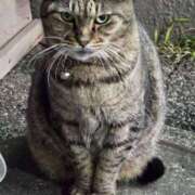 ヒメ日記 2025/10/22 04:00 投稿 あい sweet kiss