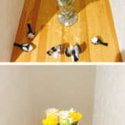 ヒメ日記 2025/10/25 03:17 投稿 あい sweet kiss