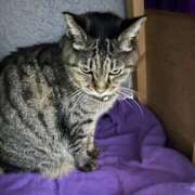 ヒメ日記 2025/10/26 03:47 投稿 あい sweet kiss