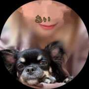 ヒメ日記 2025/10/26 09:20 投稿 あい sweet kiss