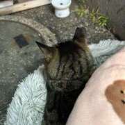 ヒメ日記 2025/10/29 23:47 投稿 あい sweet kiss