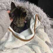 ヒメ日記 2025/11/01 23:41 投稿 あい sweet kiss