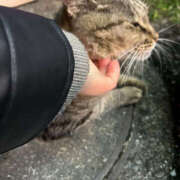 ヒメ日記 2025/11/02 00:56 投稿 あい sweet kiss