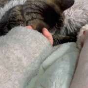 ヒメ日記 2025/11/10 23:50 投稿 あい sweet kiss