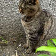 ヒメ日記 2025/11/12 03:53 投稿 あい sweet kiss