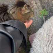 ヒメ日記 2025/11/12 16:19 投稿 あい sweet kiss