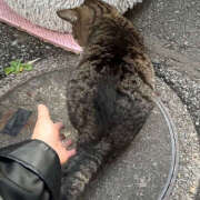 ヒメ日記 2025/11/13 21:34 投稿 あい sweet kiss