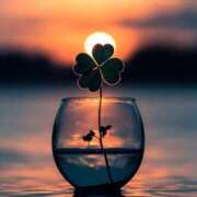 ヒメ日記 2025/11/14 08:31 投稿 あい sweet kiss