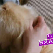 ヒメ日記 2025/11/17 13:26 投稿 あい sweet kiss