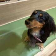 ヒメ日記 2025/11/19 03:17 投稿 あい sweet kiss