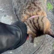 ヒメ日記 2025/11/26 16:08 投稿 あい sweet kiss