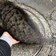 ヒメ日記 2025/11/27 00:49 投稿 あい sweet kiss