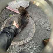 ヒメ日記 2025/11/28 04:50 投稿 あい sweet kiss