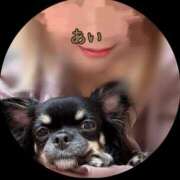 ヒメ日記 2025/11/30 08:06 投稿 あい sweet kiss