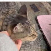 ヒメ日記 2025/12/02 05:25 投稿 あい sweet kiss