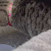 ヒメ日記 2025/12/03 18:07 投稿 あい sweet kiss