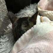 あい 小話 sweet kiss