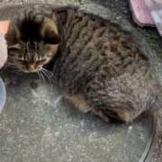 ヒメ日記 2025/12/14 05:49 投稿 あい sweet kiss