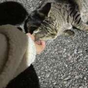 ヒメ日記 2025/12/16 04:57 投稿 あい sweet kiss