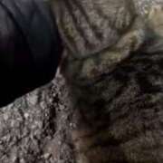 ヒメ日記 2025/12/23 05:08 投稿 あい sweet kiss