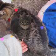 ヒメ日記 2025/12/29 13:25 投稿 あい sweet kiss