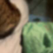 ヒメ日記 2025/12/31 21:47 投稿 あい sweet kiss