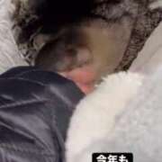 ヒメ日記 2026/01/01 11:21 投稿 あい sweet kiss