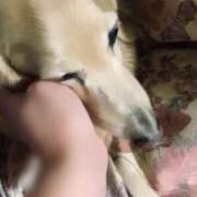 ヒメ日記 2026/01/01 12:35 投稿 あい sweet kiss