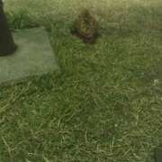 ヒメ日記 2026/01/08 23:46 投稿 あい sweet kiss