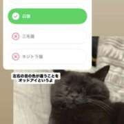 ヒメ日記 2026/01/09 23:42 投稿 あい sweet kiss