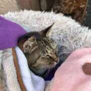 ヒメ日記 2026/01/12 04:49 投稿 あい sweet kiss