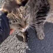 ヒメ日記 2026/01/14 10:00 投稿 あい sweet kiss