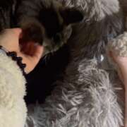 ヒメ日記 2026/01/18 00:03 投稿 あい sweet kiss