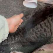 ヒメ日記 2026/01/21 23:35 投稿 あい sweet kiss