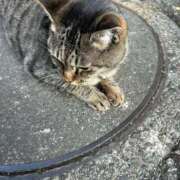 ヒメ日記 2026/01/23 11:19 投稿 あい sweet kiss