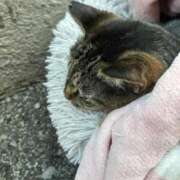 ヒメ日記 2026/01/26 05:19 投稿 あい sweet kiss