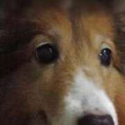 ヒメ日記 2026/01/26 15:19 投稿 あい sweet kiss