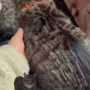 ヒメ日記 2026/01/27 03:49 投稿 あい sweet kiss