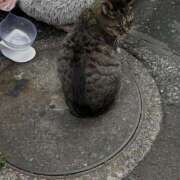 ヒメ日記 2026/01/27 22:15 投稿 あい sweet kiss