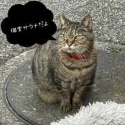 ヒメ日記 2026/01/27 23:19 投稿 あい sweet kiss