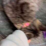 ヒメ日記 2026/01/28 21:59 投稿 あい sweet kiss